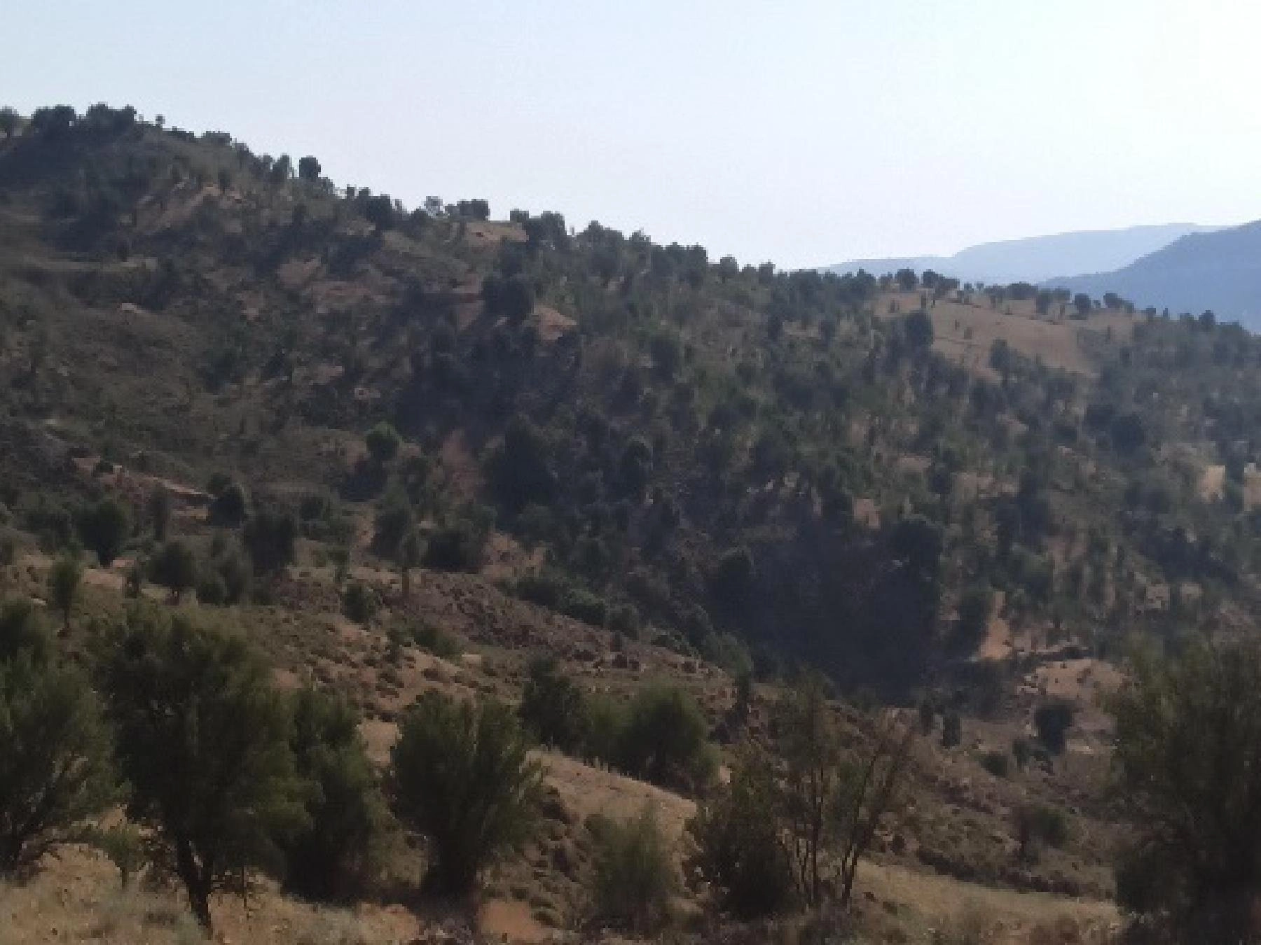 13,713m² Plot for Sale in Kelokedara, Paphos District