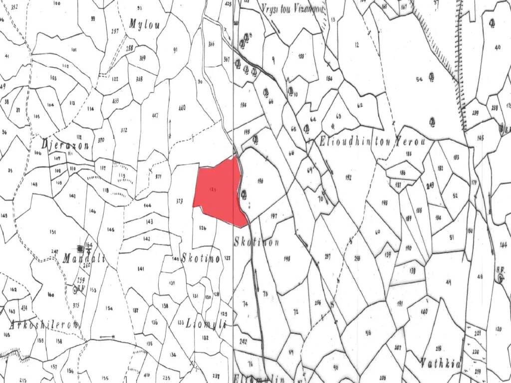 13,713m² Plot for Sale in Kelokedara, Paphos District