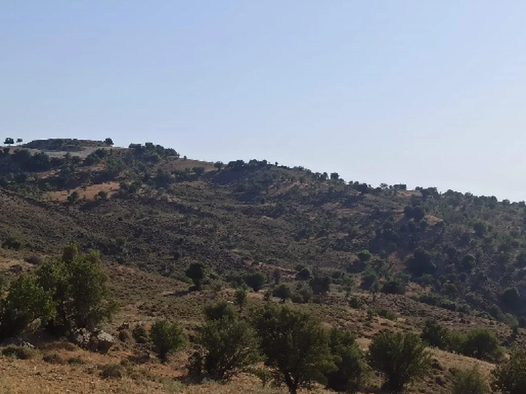 2,676m² Plot for Sale in Kelokedara, Paphos District