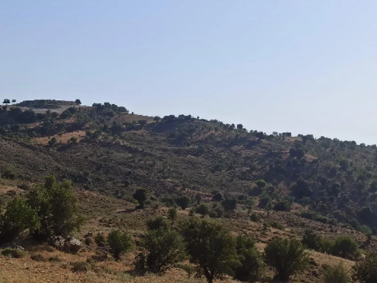 2,676m² Plot for Sale in Kelokedara, Paphos District