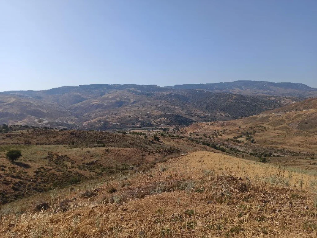 10,777m² Plot for Sale in Kelokedara, Paphos District