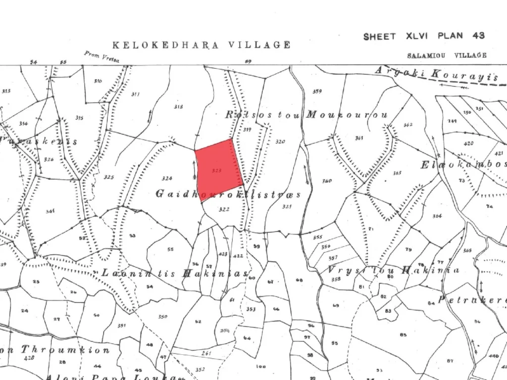 10,777m² Plot for Sale in Kelokedara, Paphos District