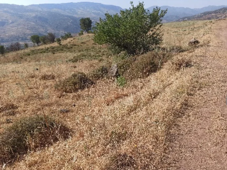 5,352m² Plot for Sale in Kelokedara, Paphos District