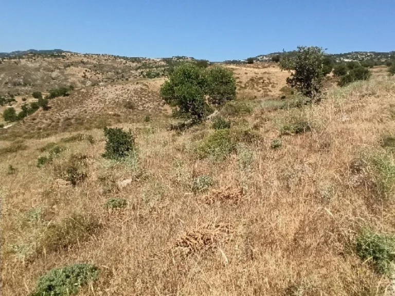 10,034m² Plot for Sale in Kelokedara, Paphos District