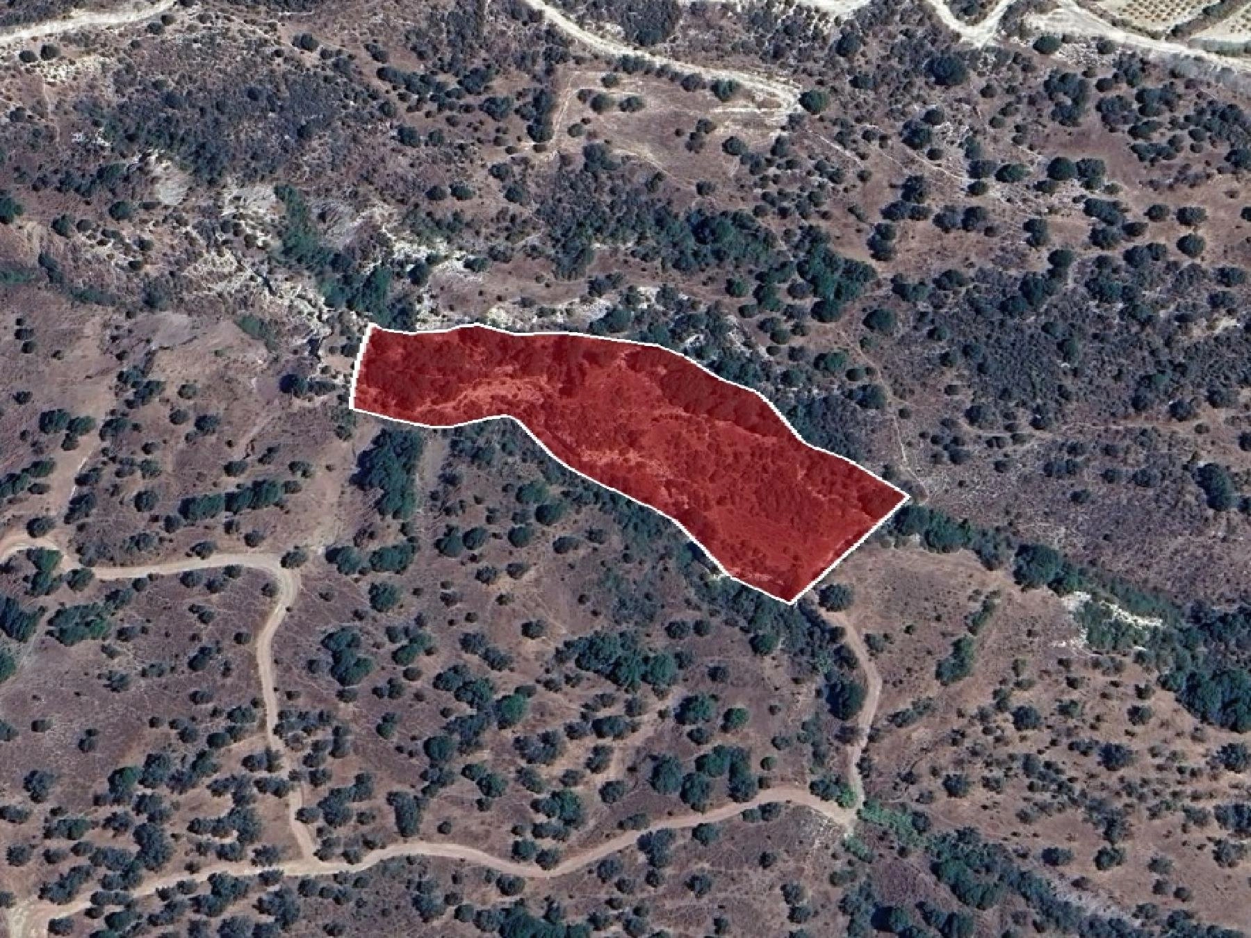 10,034m² Plot for Sale in Kelokedara, Paphos District