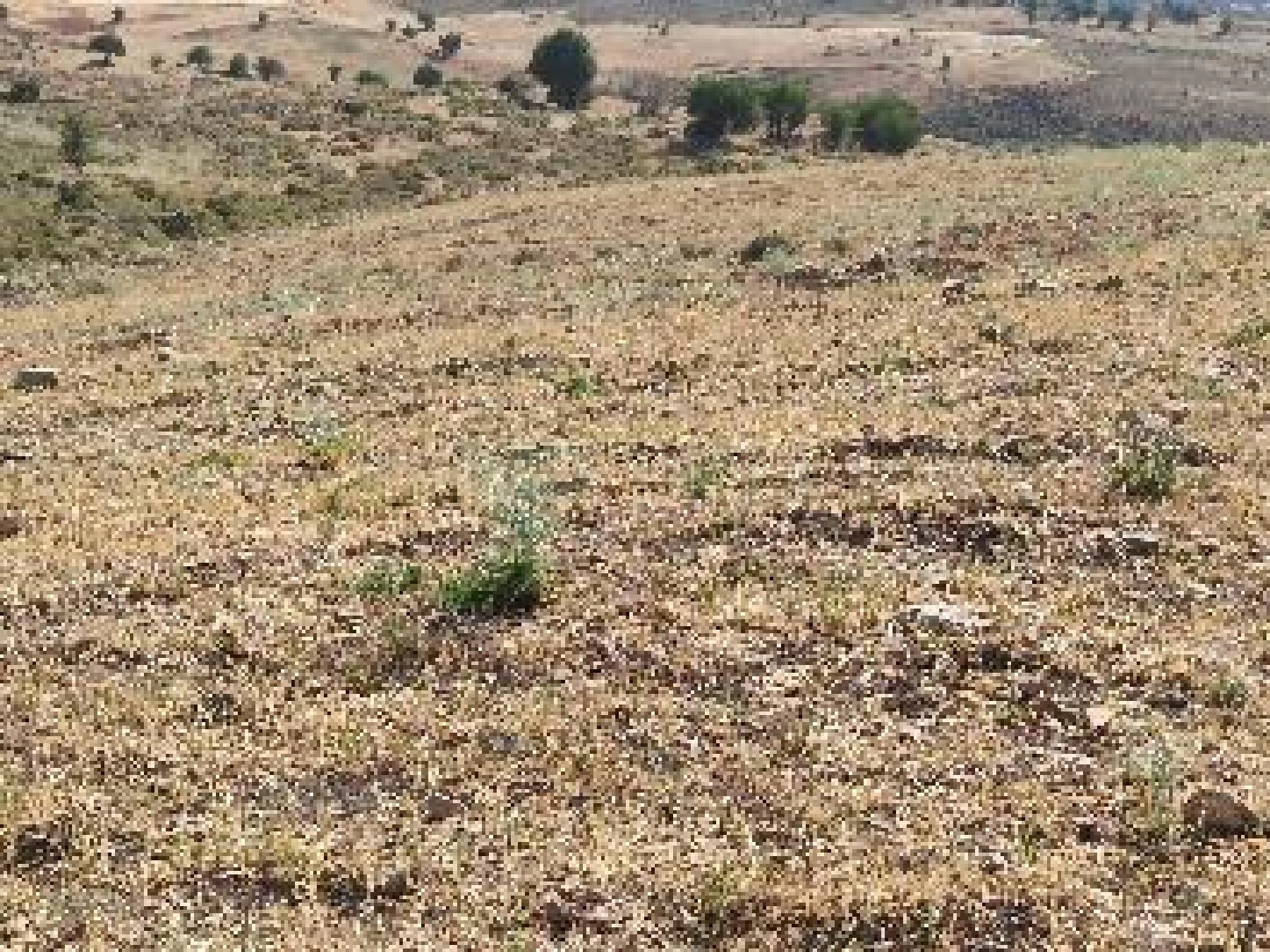 7,693m² Plot for Sale in Kelokedara, Paphos District