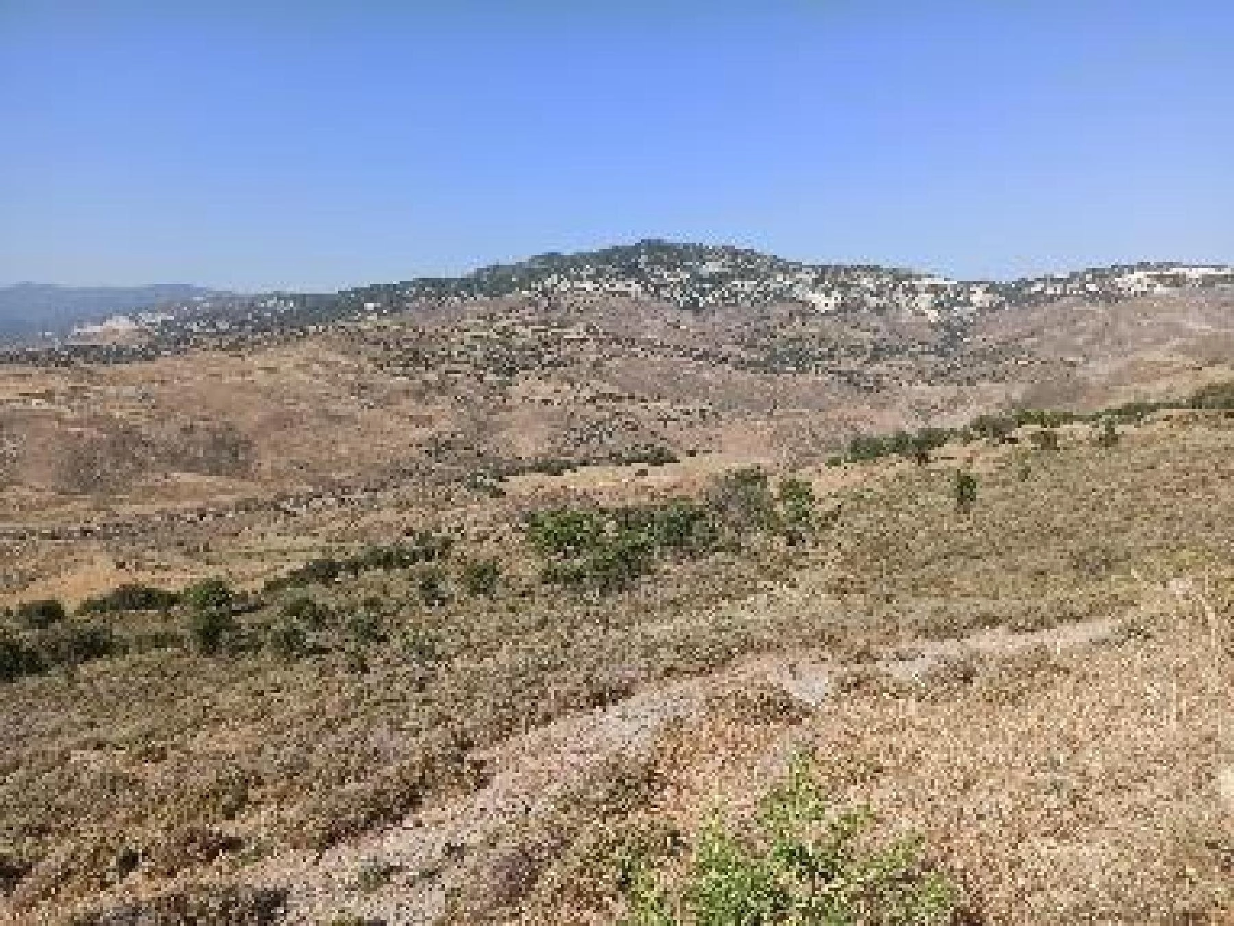 18,024m² Plot for Sale in Kelokedara, Paphos District