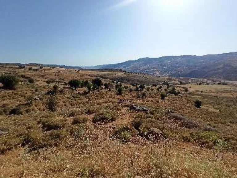 14,716m² Plot for Sale in Kelokedara, Paphos District