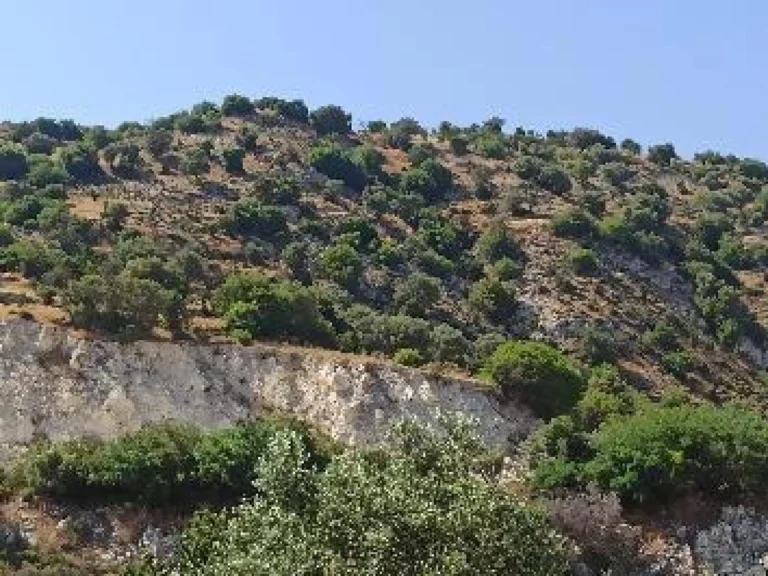17,559m² Plot for Sale in Kelokedara, Paphos District
