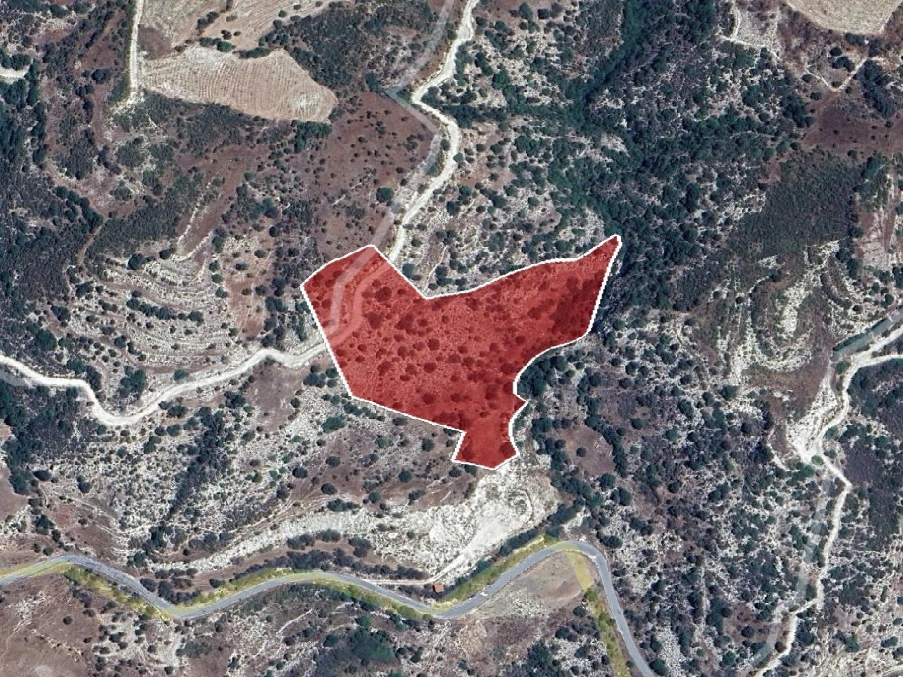 17,559m² Plot for Sale in Kelokedara, Paphos District