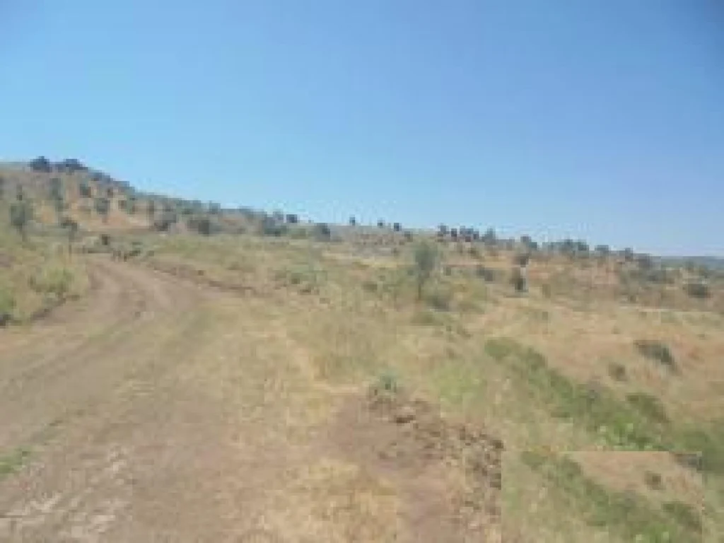 14,382m² Plot for Sale in Kelokedara, Paphos District