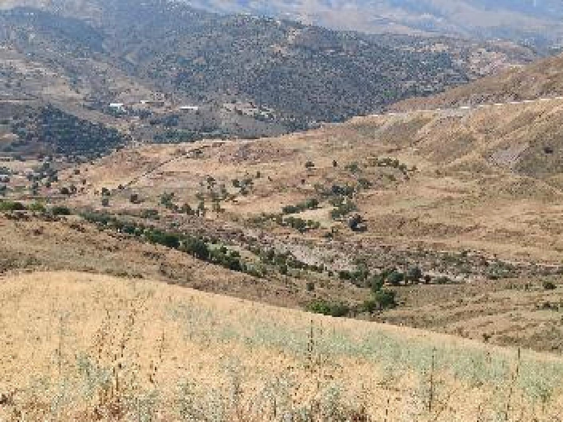 16,389m² Plot for Sale in Kelokedara, Paphos District