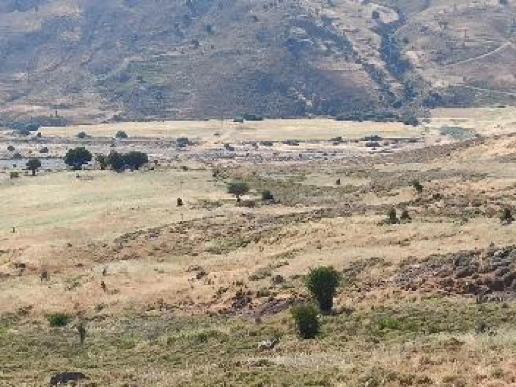 10,703m² Plot for Sale in Kelokedara, Paphos District