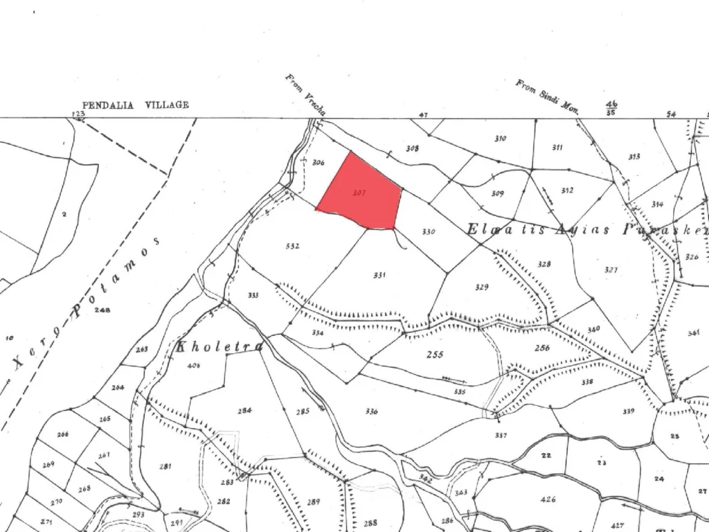 10,703m² Plot for Sale in Kelokedara, Paphos District