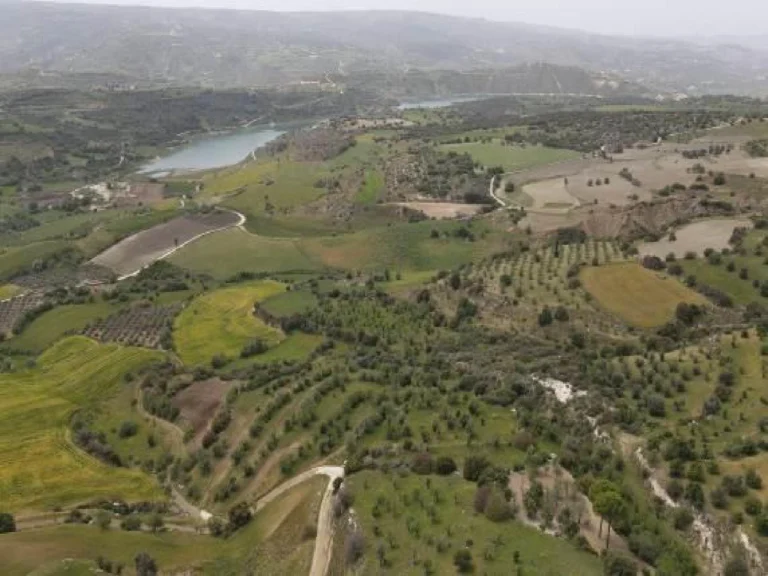 10,649m² Plot for Sale in Paphos District