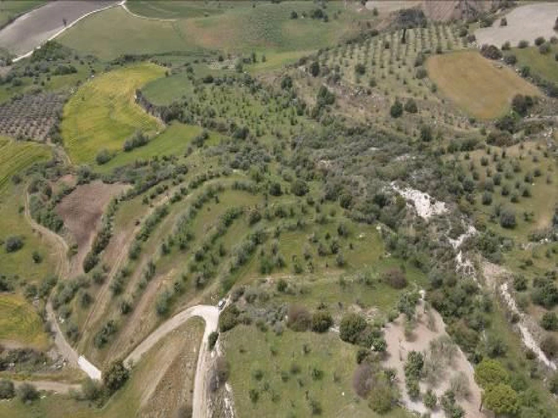 10,649m² Plot for Sale in Paphos District