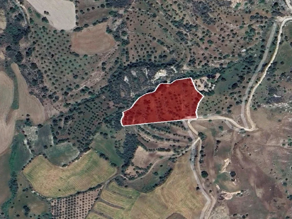 10,649m² Plot for Sale in Paphos District