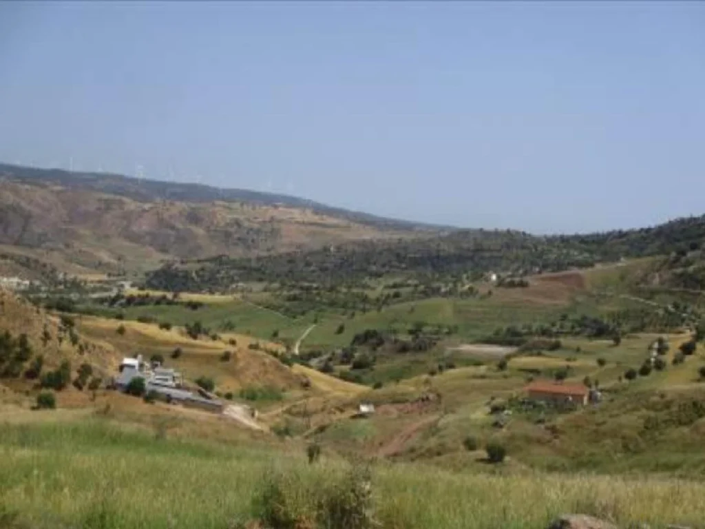 11,037m² Plot for Sale in Nata, Paphos District