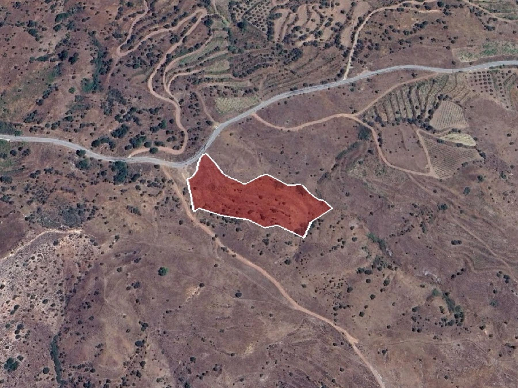 13,016m² Plot for Sale in Paphos District
