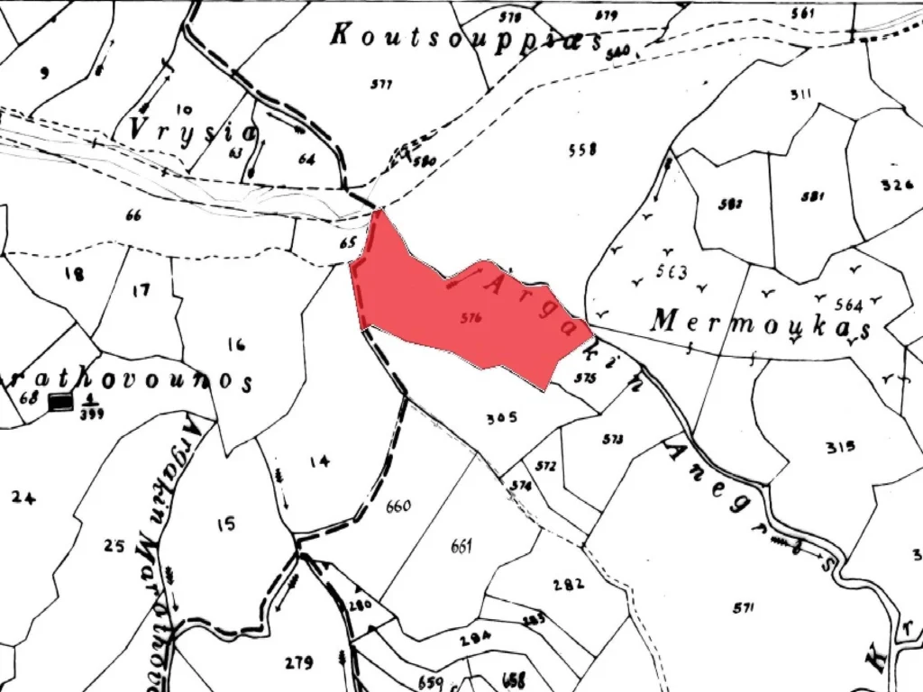 13,016m² Plot for Sale in Paphos District