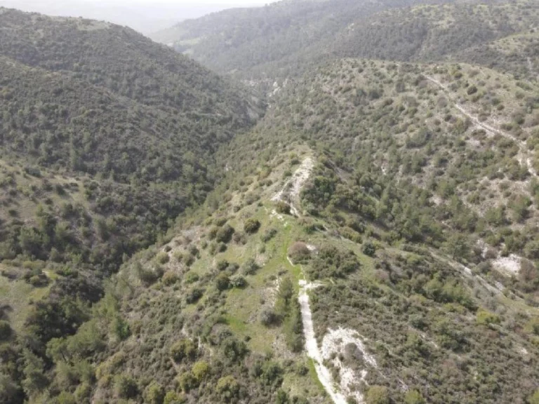 19,064m² Plot for Sale in Amargeti, Paphos District