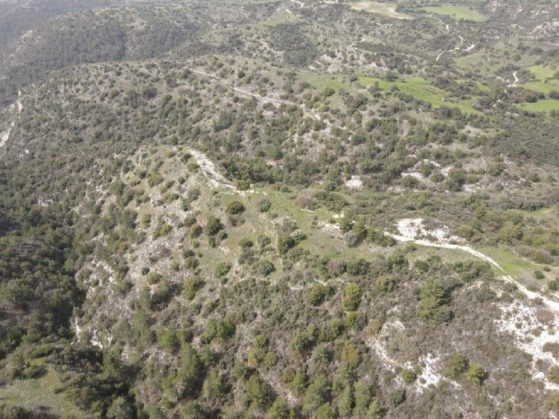 19,064m² Plot for Sale in Amargeti, Paphos District
