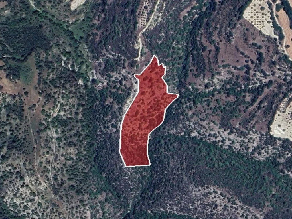 19,064m² Plot for Sale in Amargeti, Paphos District