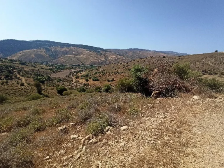 10,852m² Plot for Sale in Kelokedara, Paphos District