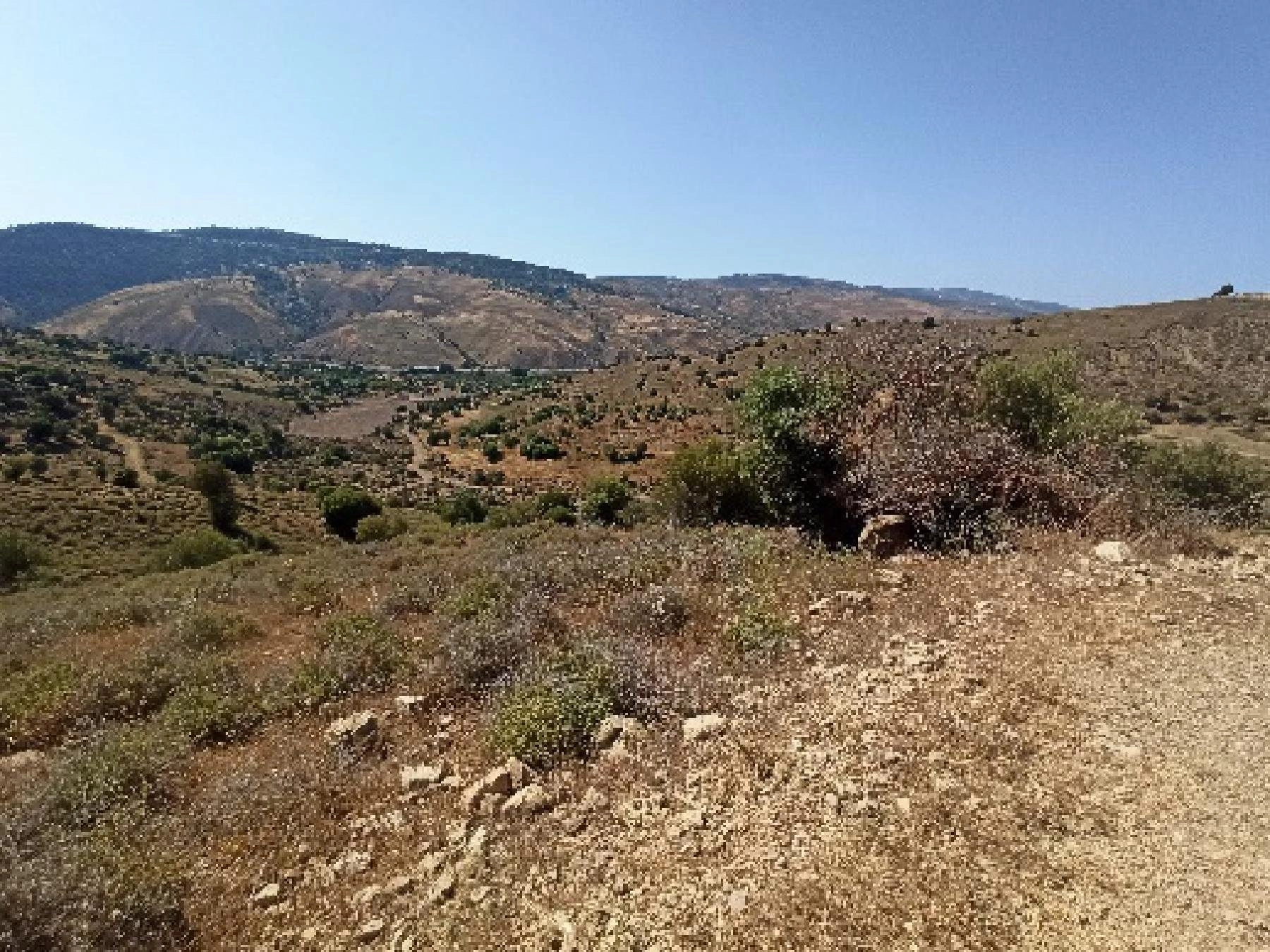 10,852m² Plot for Sale in Kelokedara, Paphos District