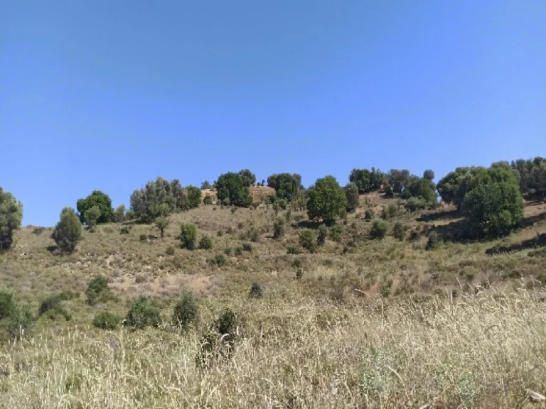 7,024m² Plot for Sale in Kelokedara, Paphos District