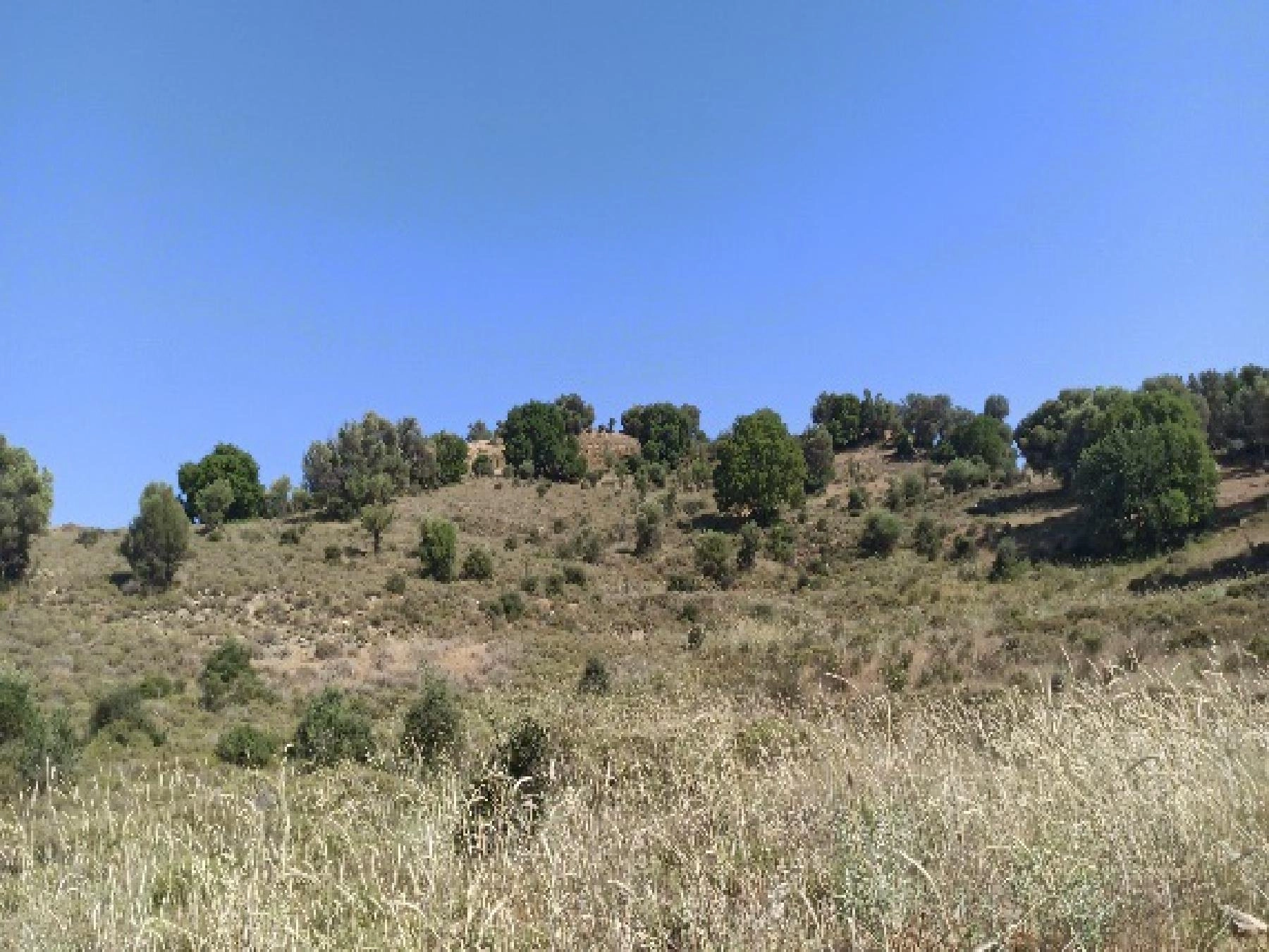 7,024m² Plot for Sale in Kelokedara, Paphos District