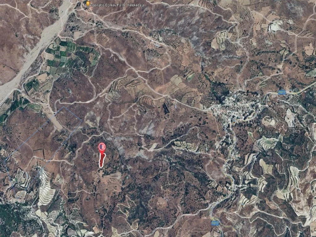 7,024m² Plot for Sale in Kelokedara, Paphos District