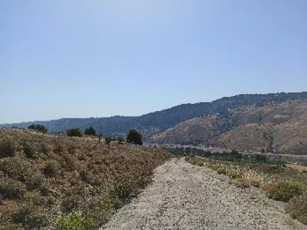 19,919m² Plot for Sale in Kelokedara, Paphos District