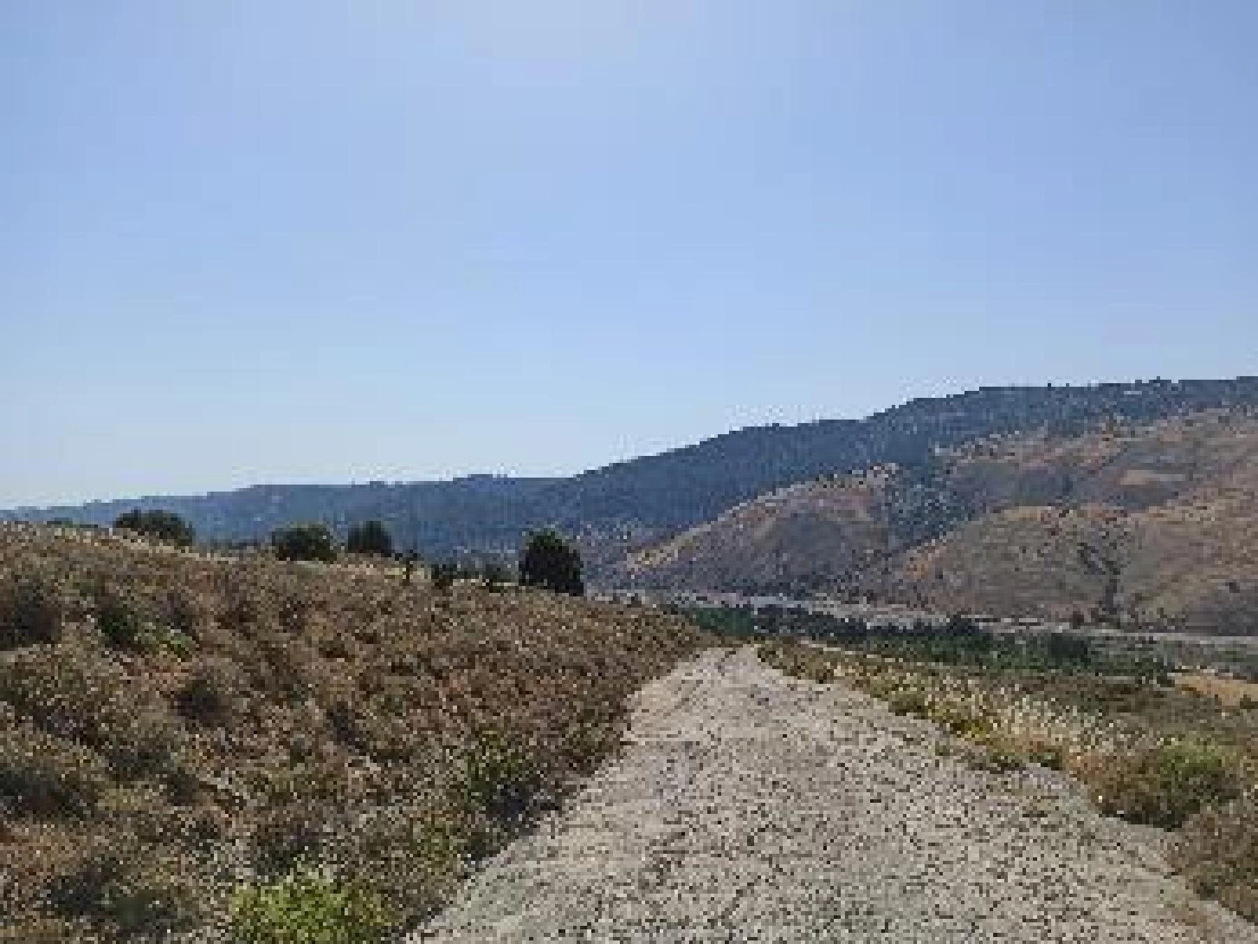 19,919m² Plot for Sale in Kelokedara, Paphos District