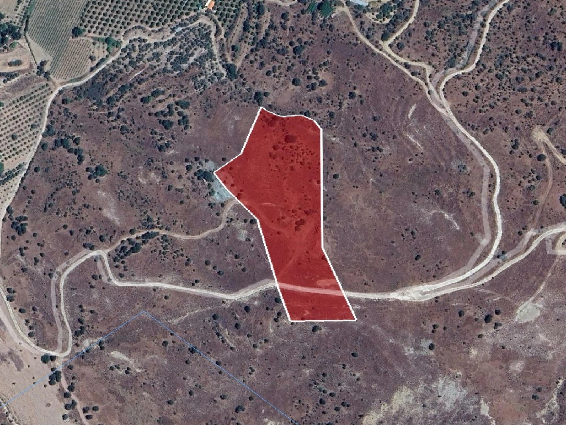 19,919m² Plot for Sale in Kelokedara, Paphos District
