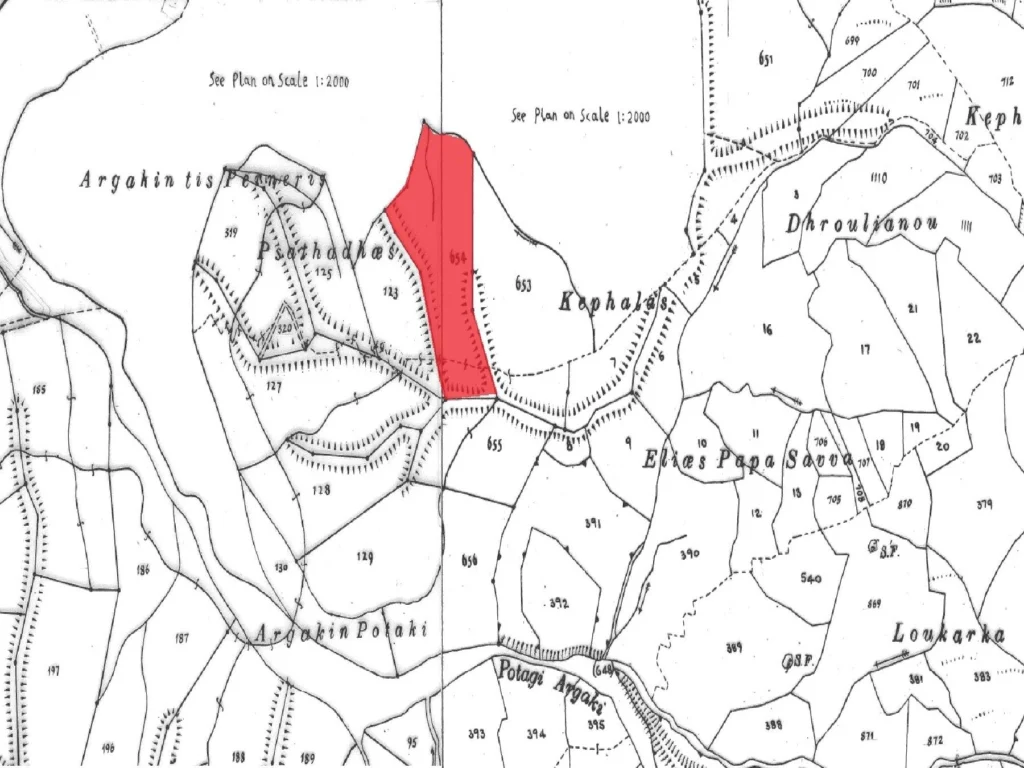 19,919m² Plot for Sale in Kelokedara, Paphos District