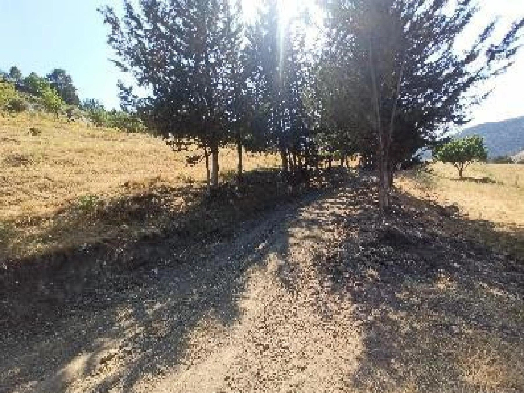 11,037m² Plot for Sale in Kelokedara, Paphos District