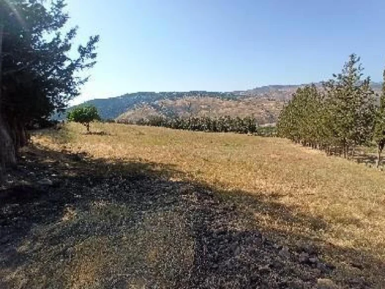 18,916m² Plot for Sale in Kelokedara, Paphos District