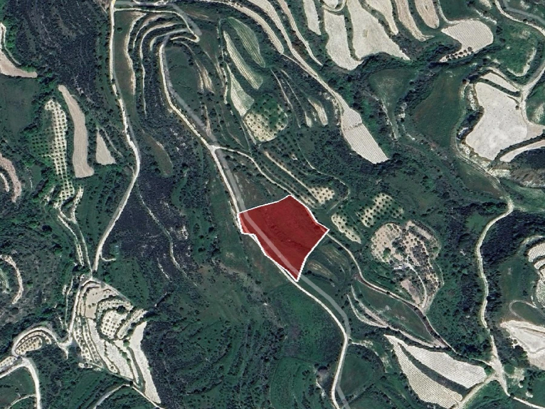 8,027m² Plot for Sale in Tsada, Paphos District