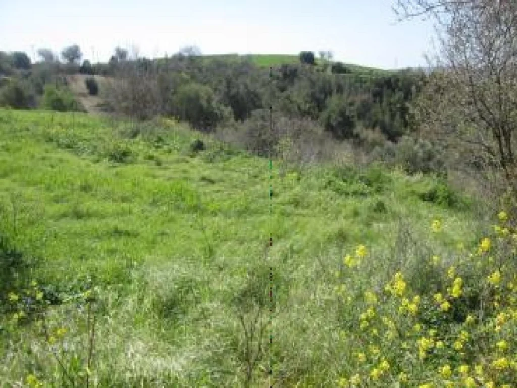 3,011m² Plot for Sale in Drymou, Paphos District