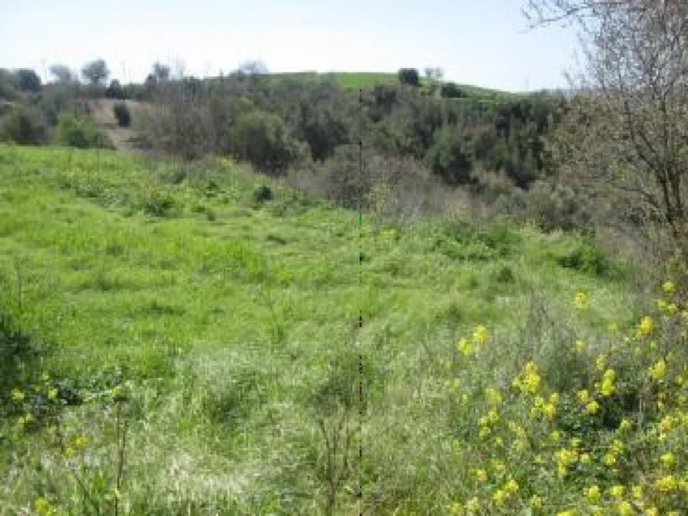 3,011m² Plot for Sale in Drymou, Paphos District