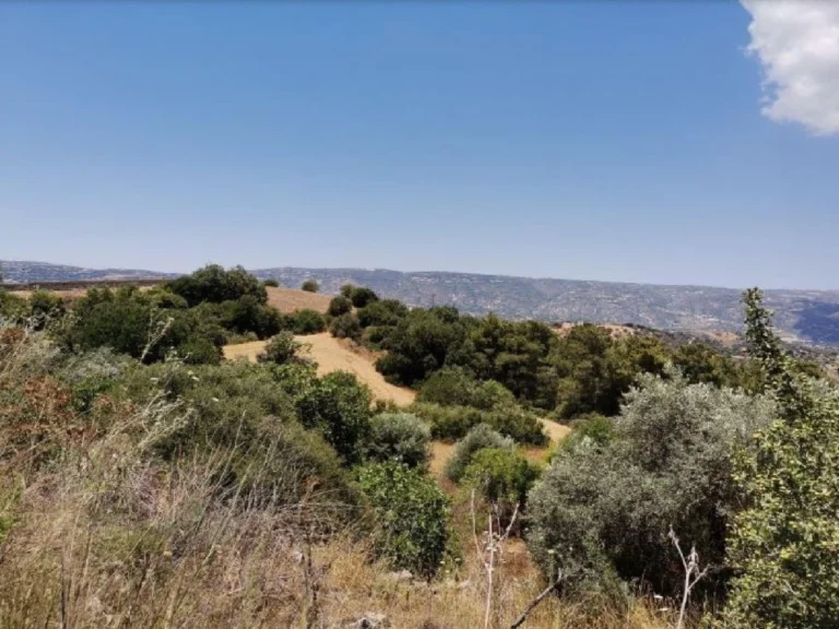 3,345m² Plot for Sale in Drymou, Paphos District