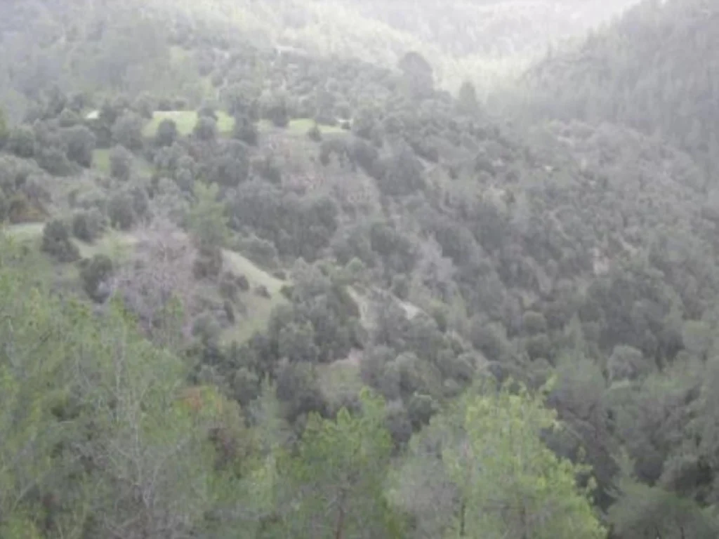 Οικόπεδο 7,693m² προς πώληση στην Αμαργέτη, Επαρχία Πάφου