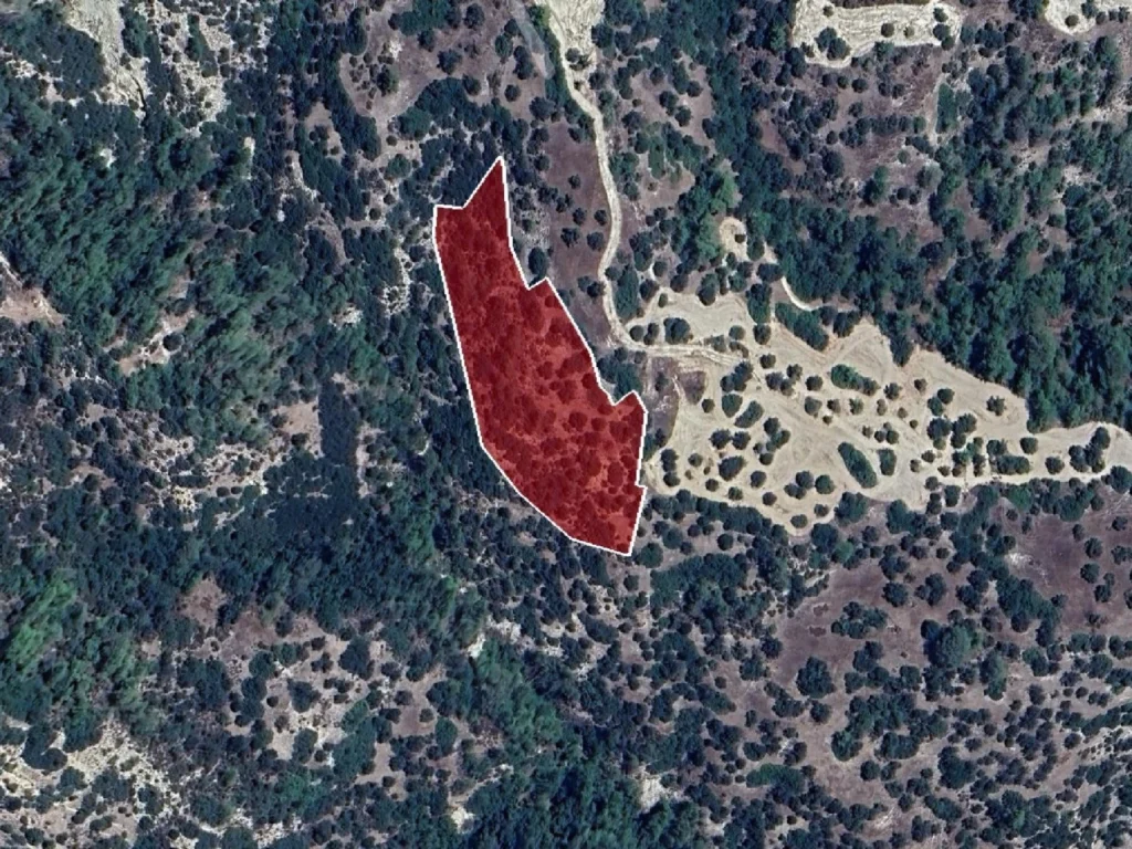 Οικόπεδο 7,693m² προς πώληση στην Αμαργέτη, Επαρχία Πάφου