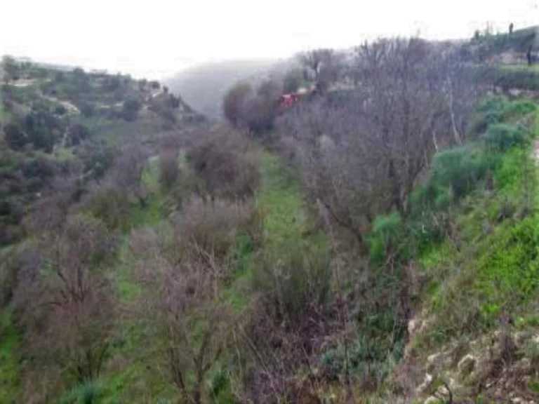 3,679m² Plot for Sale in Kallepeia, Paphos District
