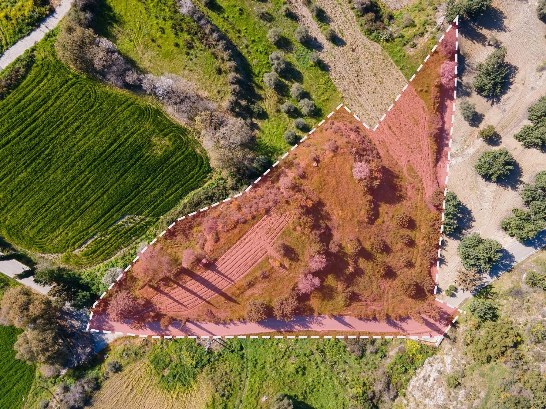 6,355m² Plot for Sale in Peristerona Pafou, Paphos District