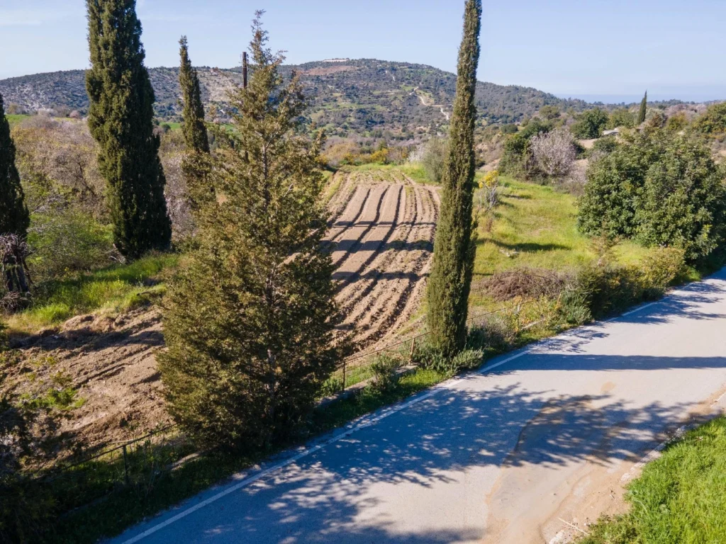 6,355m² Plot for Sale in Peristerona Pafou, Paphos District