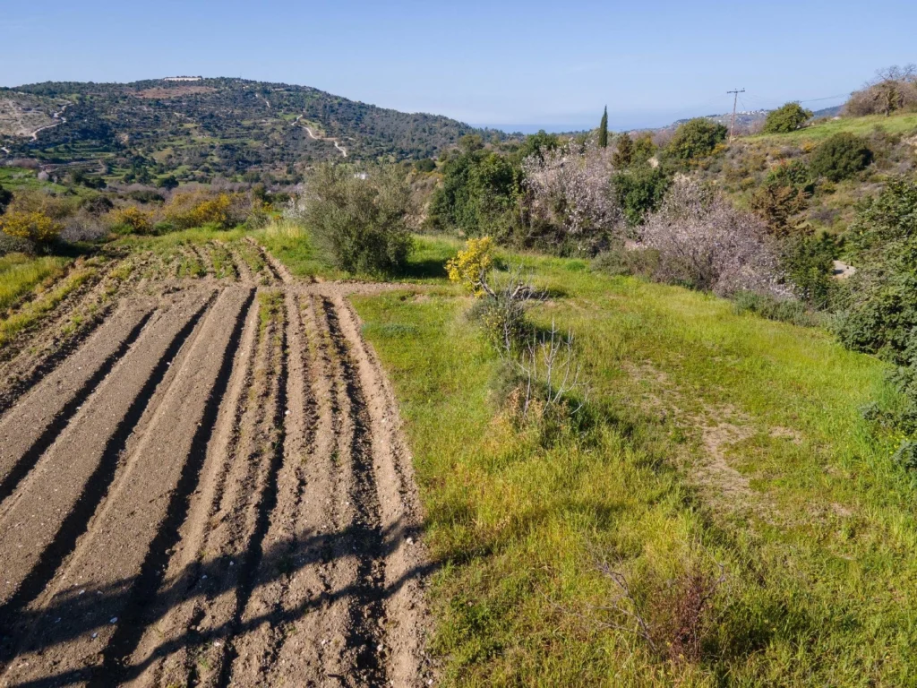 6,355m² Plot for Sale in Peristerona Pafou, Paphos District