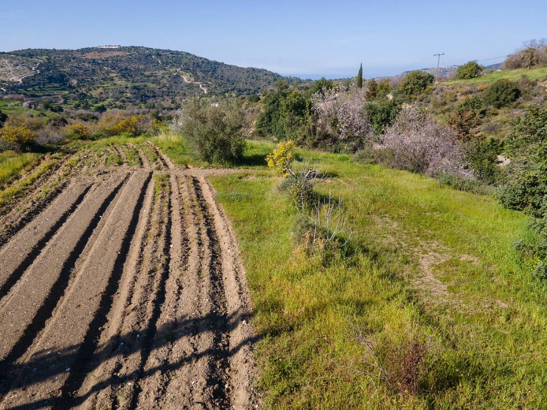 6,355m² Plot for Sale in Peristerona Pafou, Paphos District