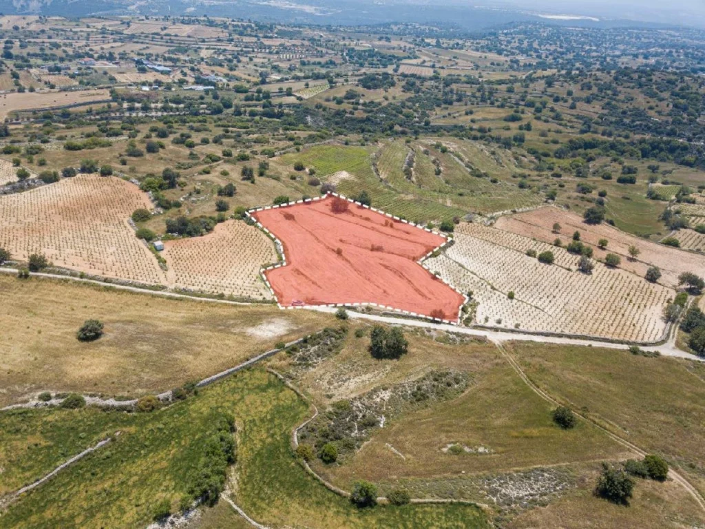 9,709m² Plot for Sale in Pachna, Limassol District